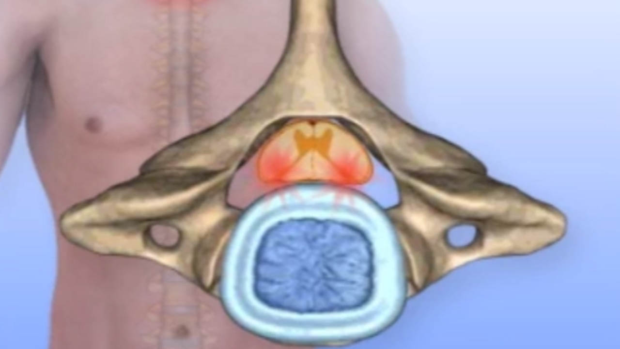 Cervical Nerve Anatomy Animation